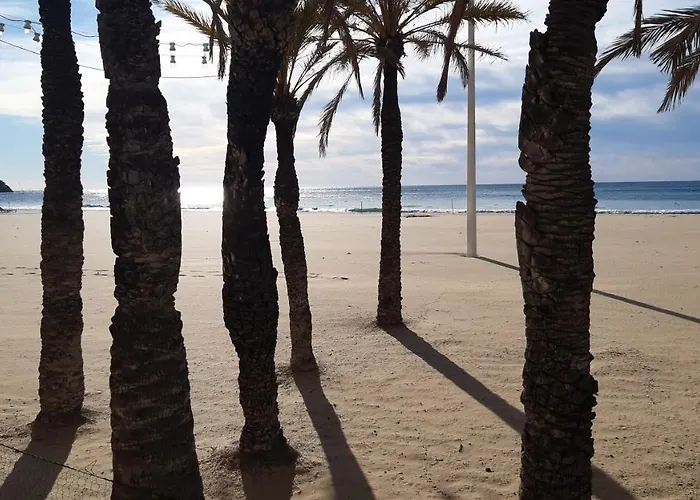 Appartement Mariscal *